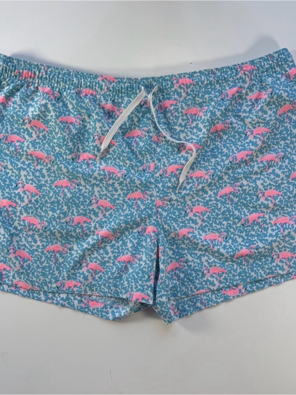 CHUBBIES Classic Swim Trunk 4" The Domingos Are Flamingos Lined Mens 2XL Blue